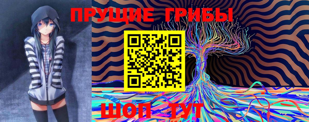 Кимры  Псилоцибиновые грибы мухоморы  наркотики  Вход с VPN  Псилоцибиновые грибы прущие грибы 